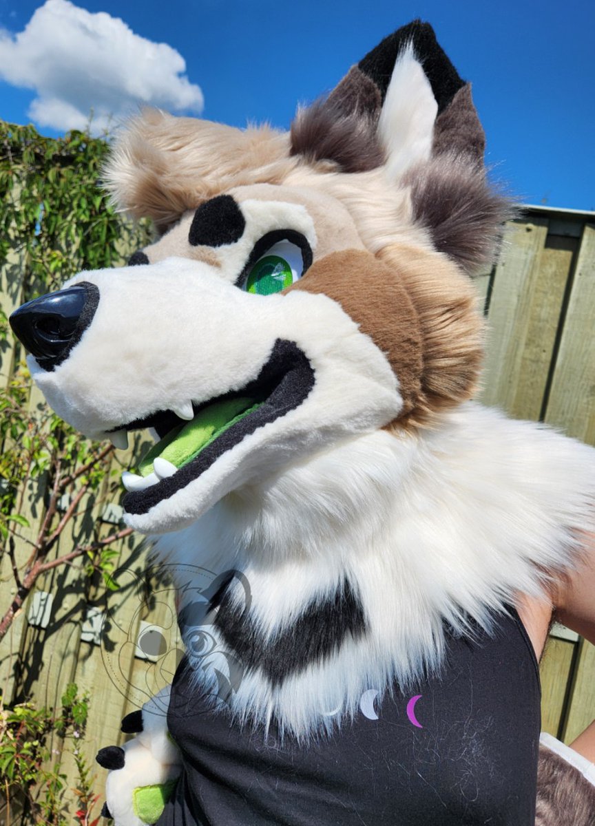 Critter Creature Suits tweet media