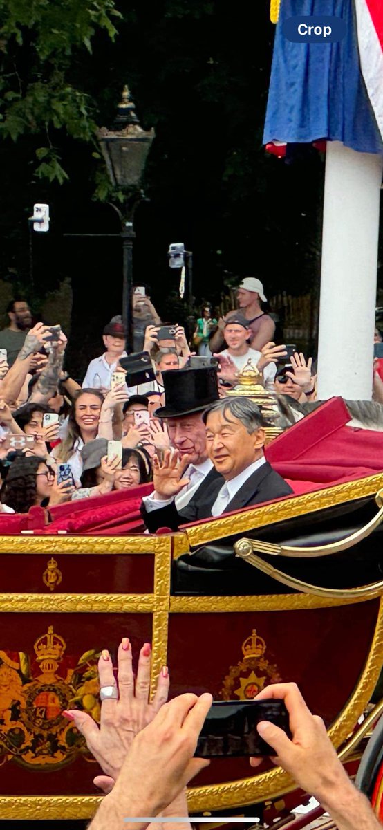 Nick Juliano tweet media