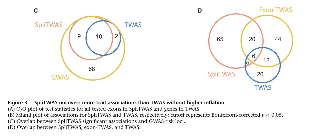 Sasha Gusev tweet media