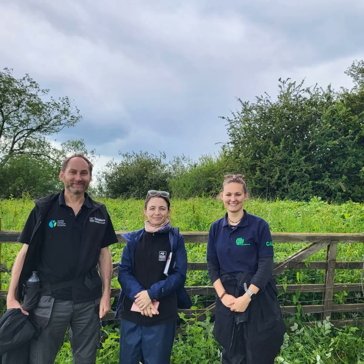 YDCP met <a href="/CABI_News/">CABI</a> at Wheldrake Ings to plan the release of the rust Fungus on Himalayan balsam. The first rust was released on the selected site last Thursday! <a href="/LDV_NNR/">LDV NNR</a>