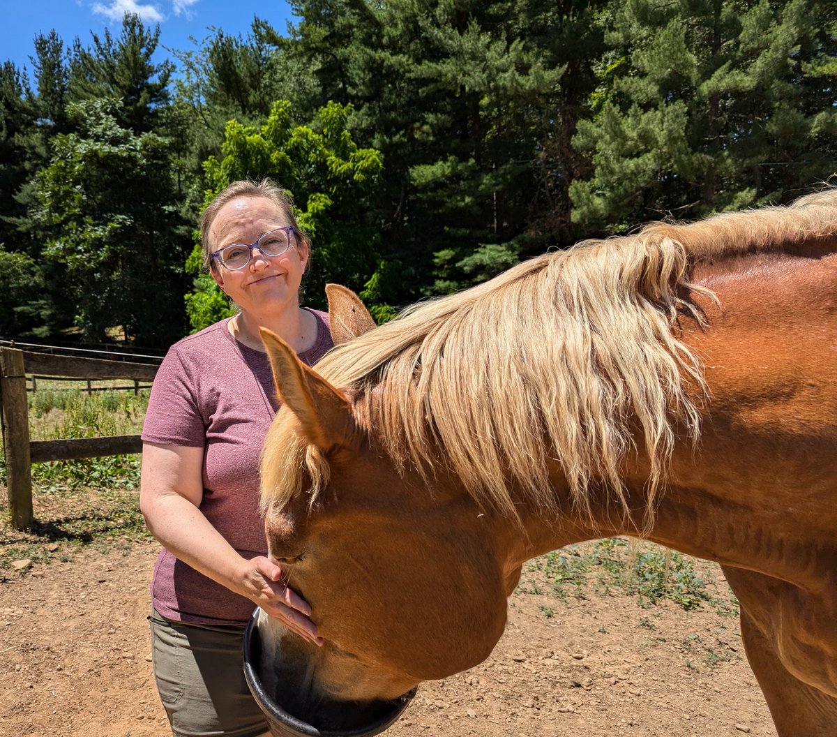 fastly's tweet photo. At Fastly, we like to build; both in and out of the office. During #FastlyBuildWeek, we're sharing the build projects our Fastlyans work on in their free time.
Laura Thomson, SVP of Engineering, has her own farm, which requires a fair amount of regular building and repairing. 🛠️ https://t.co/2MH4a5Fhl4