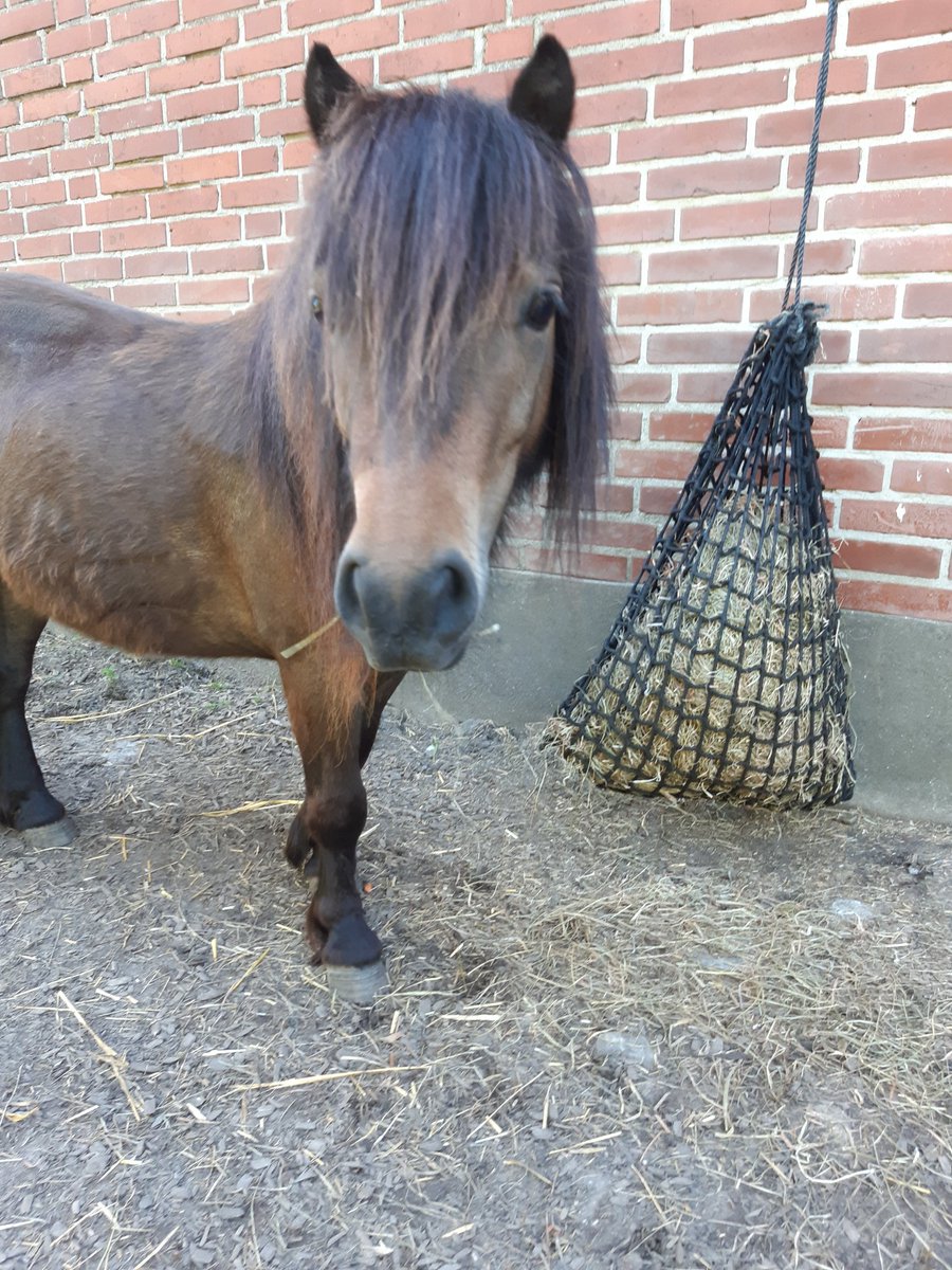 Handsome tiny dude ❤