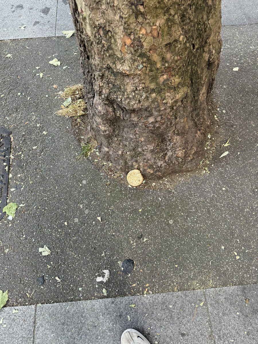 AI show me a crumpet leaning against a London plane tree outside Mrs Doubtfire the musical on the corner or Endell St and High Holborn London WC2 on a really hot day