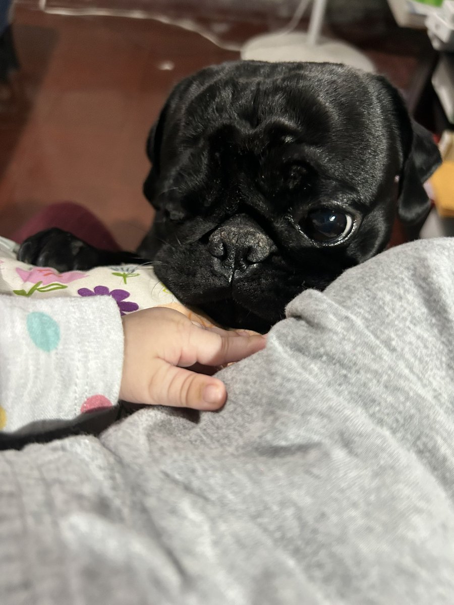 Antonieta Garay tweet media