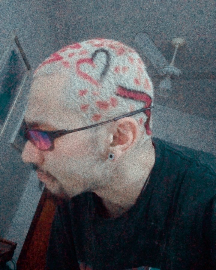 Thegangsterwolf's tweet photo. #splithair #hairstyle #colorhair https://t.co/80WjjroB8j
