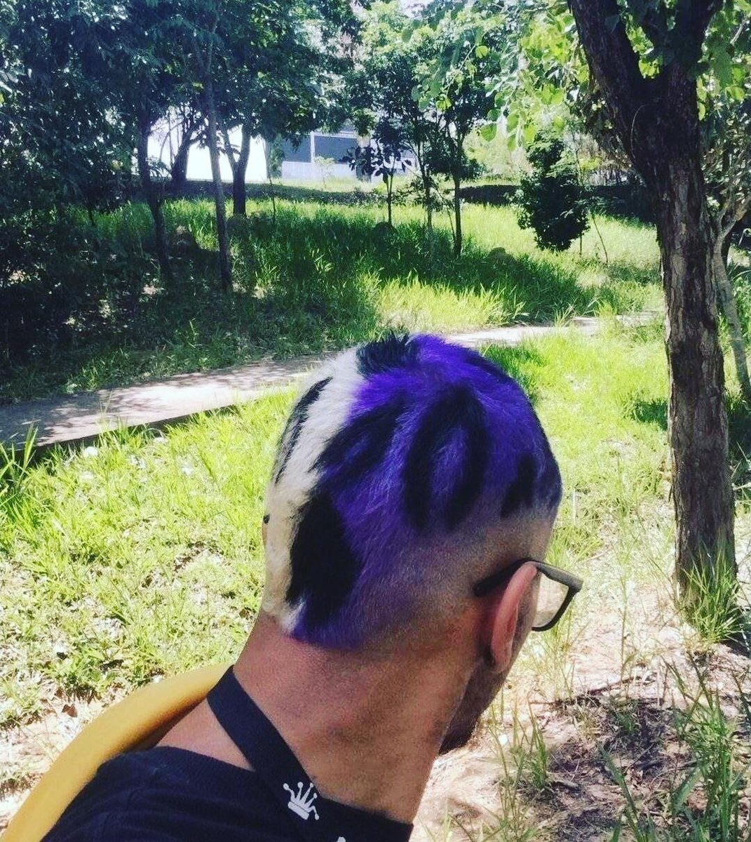 Thegangsterwolf's tweet photo. #splithair #hairstyle #colorhair https://t.co/80WjjroB8j