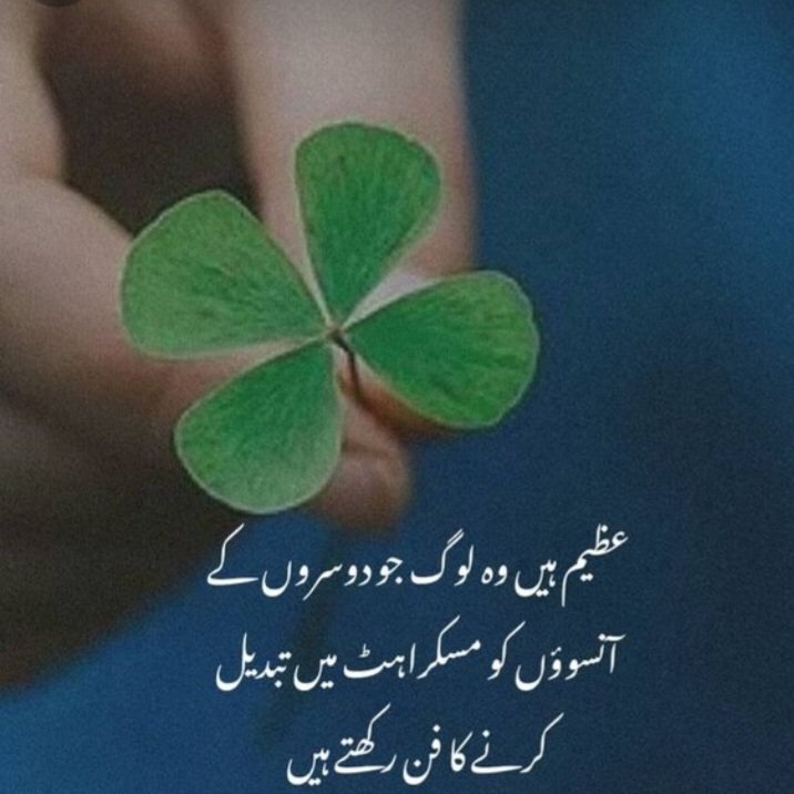 رضیہ اعجاز tweet media