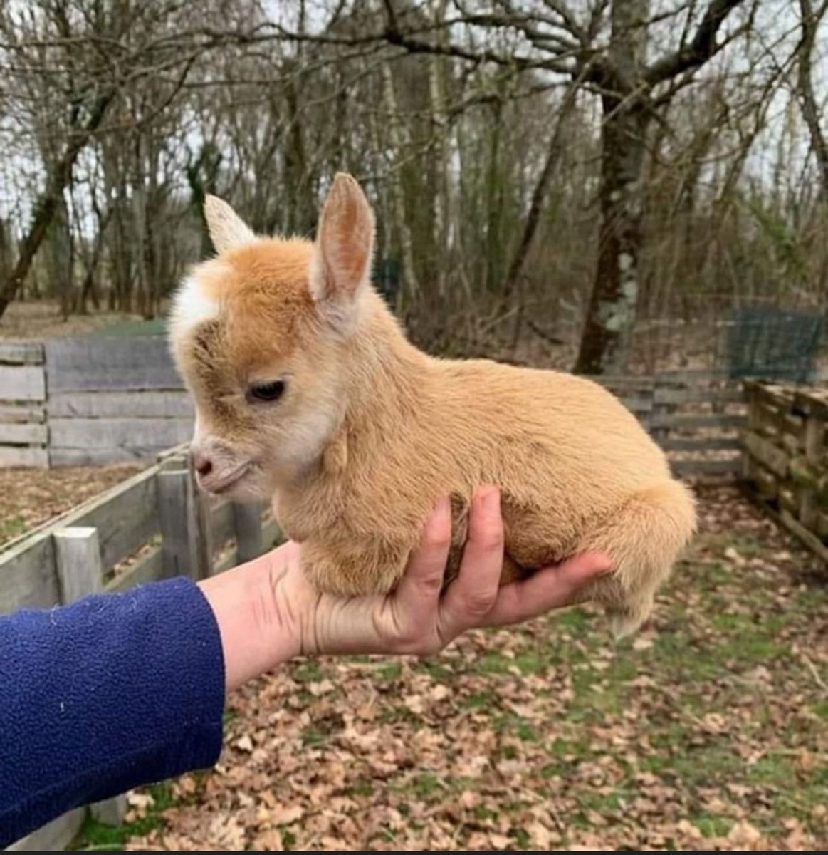 It's dangerous to go alone. Take this.