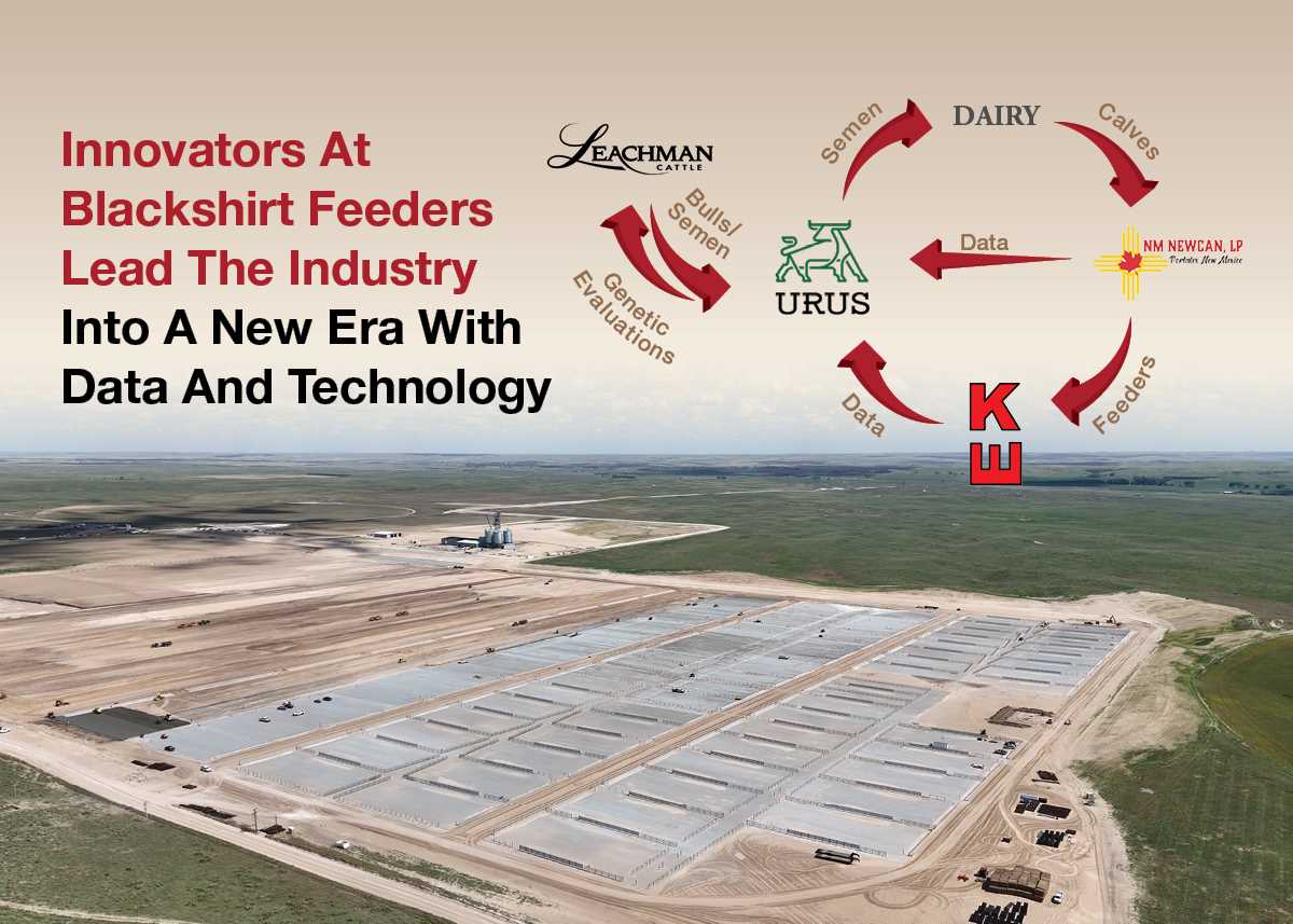 Greg Henderson tweet media