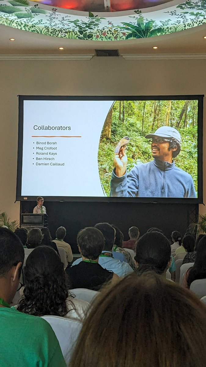 Seedscape Ecology (@seedscapegroup) on Twitter photo Seedscapists presenting their research at #BCI100 <a href="/stri_panama/">Smithsonian Panama</a> on the many facets of #seeddispersal Seedscapists presenting their research at #BCI100 <a href="/stri_panama/">Smithsonian Panama</a> on the many facets of #seeddispersal