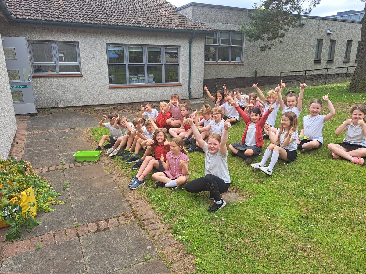 Law Primary School tweet media