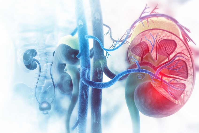 Inserm (@inserm) on Twitter photo Une équipe intégrant des chercheurs de l’#Inserm ont mené une étude sur l’intérêt de la #biopsie liquide en tant que technique pour prédire le rejet de #greffe rénale.
Lire le communiqué : presse.inserm.fr/eviter-le-reje…
<a href="/AlexandreLoupy/">Alexandre Loupy</a> Une équipe intégrant des chercheurs de l’#Inserm ont mené une étude sur l’intérêt de la #biopsie liquide en tant que technique pour prédire le rejet de #greffe rénale.
Lire le communiqué : presse.inserm.fr/eviter-le-reje…
<a href="/AlexandreLoupy/">Alexandre Loupy</a>