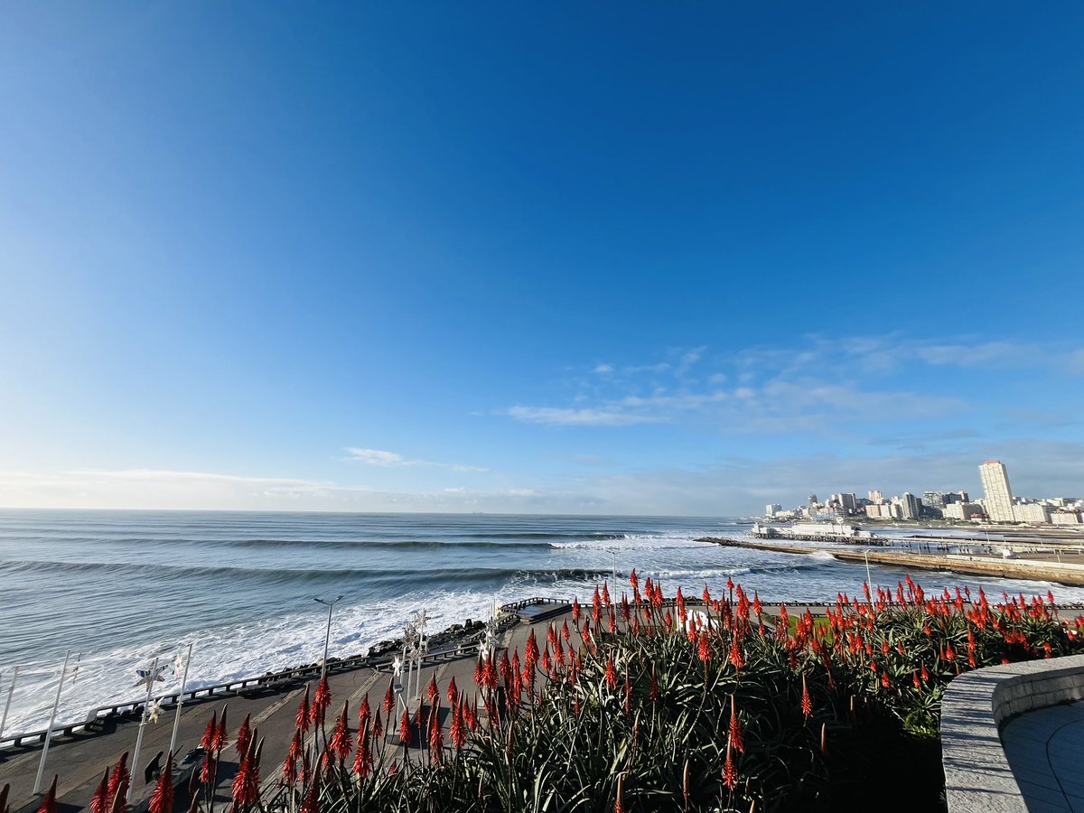 Bra Rosso tweet media