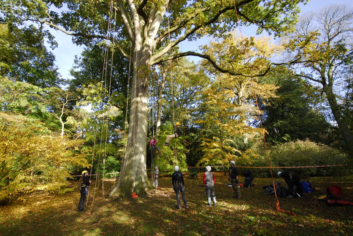 James Aldred tweet media