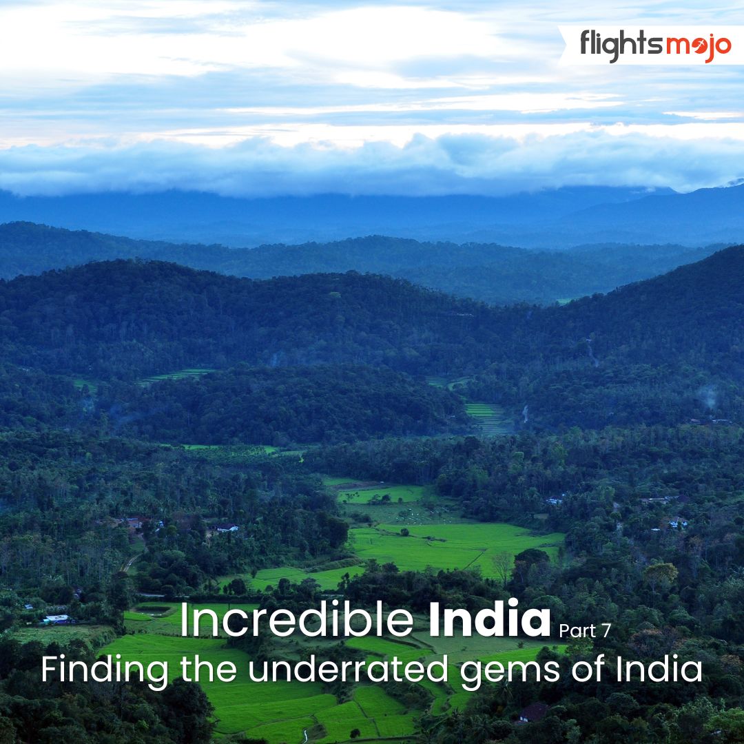 FlightsMojo's tweet image. Experience Coorg: A paradise of coffee, wildlife, and tranquillity!

#coorg #vacation #flightticketbooking #flightsbooking #greatbookdeals #flightticket #lowestairfare #lowestairfaresonline #flightsmojoindia #travelcompany