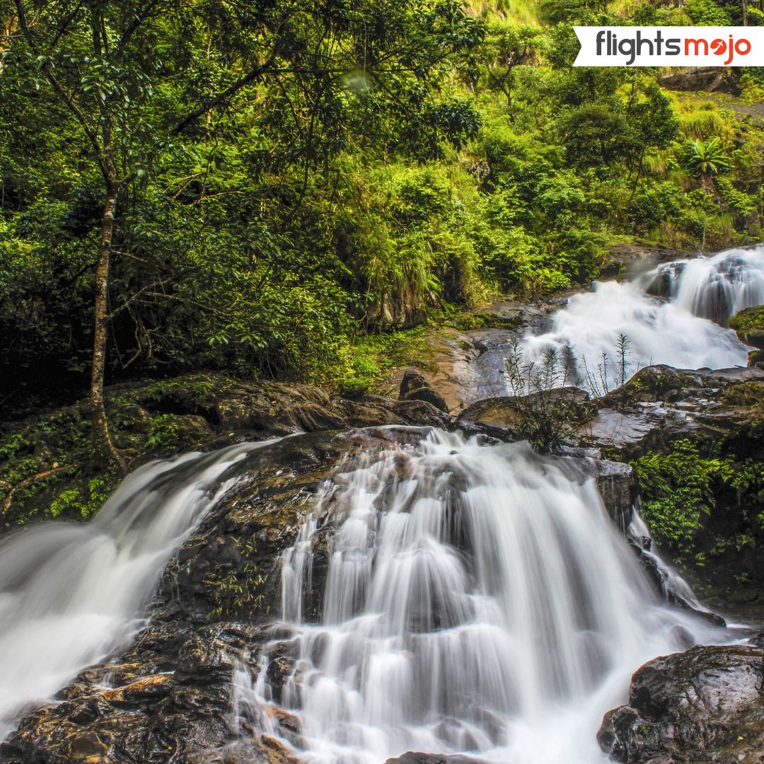 FlightsMojo's tweet image. Experience Coorg: A paradise of coffee, wildlife, and tranquillity!

#coorg #vacation #flightticketbooking #flightsbooking #greatbookdeals #flightticket #lowestairfare #lowestairfaresonline #flightsmojoindia #travelcompany