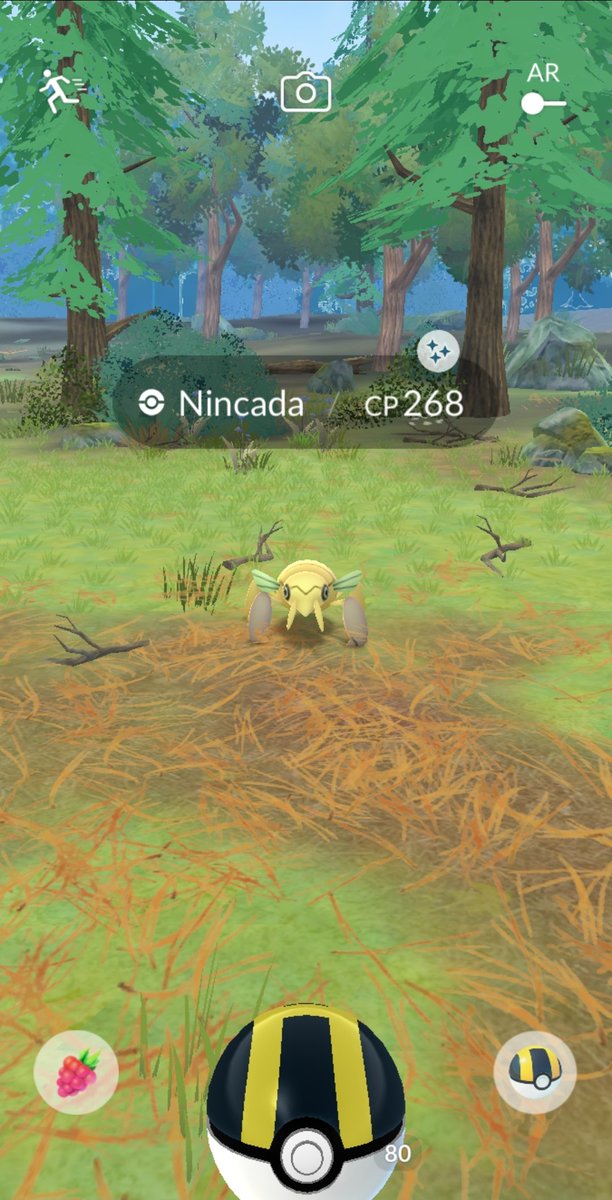 PkmnMasterYentl's tweet photo. Ayoo, this one is one I really love! 

Shiny Nincada, instantly made a Shiny Ninjask out of it 🤩✨️ https://t.co/Lge9uTY00P