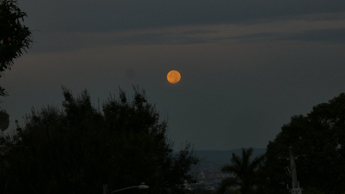 suezeecue's tweet image. Full moon setting on Saturday morning... #Kingston #Jamaica #TuesdayScenes @djmillerJA @SonjahStanley @CaroleBeckford @simonenclarke @jahmekyagyal @DahliaHarris