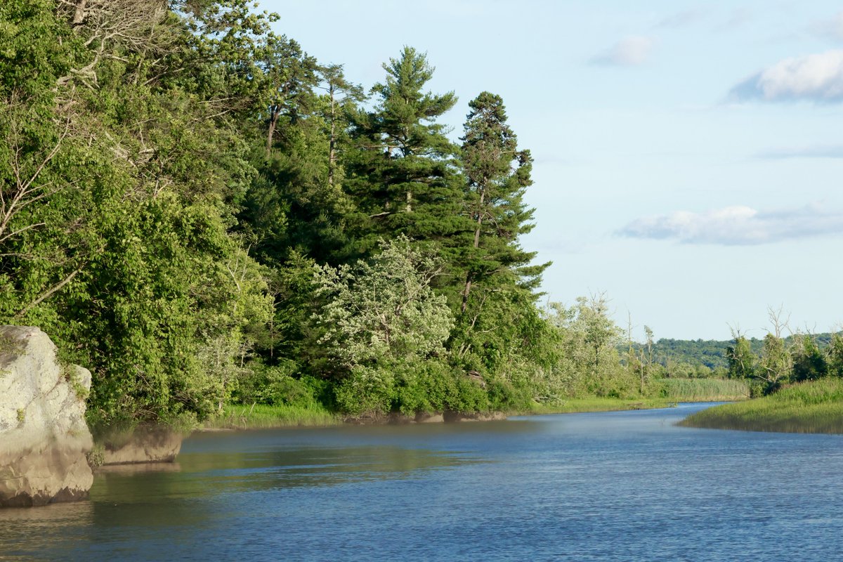 sdoppler2's tweet photo. A look from Selden Creek.
#JuneGreenChallenge
#LymeCT #CTNatureFans https://t.co/DTMfZARQGD