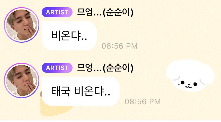 뿅 tweet media