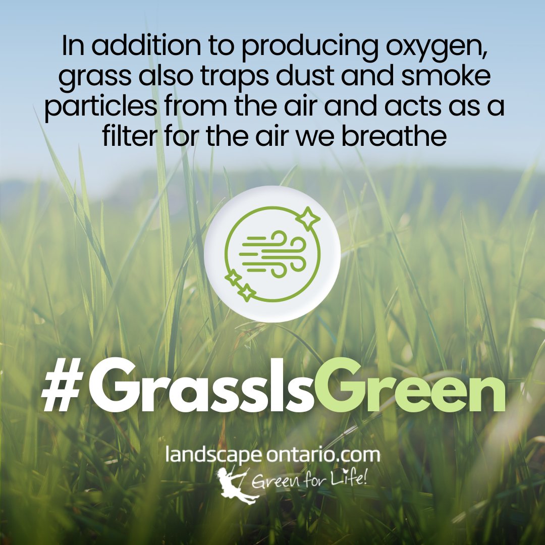 Visit a construction site before and after sod has been laid and you'll notice an immediate improvement in air quality.  #LawnScience #GrassIsGreen (Check out the Lawn.Science website for resources like this)