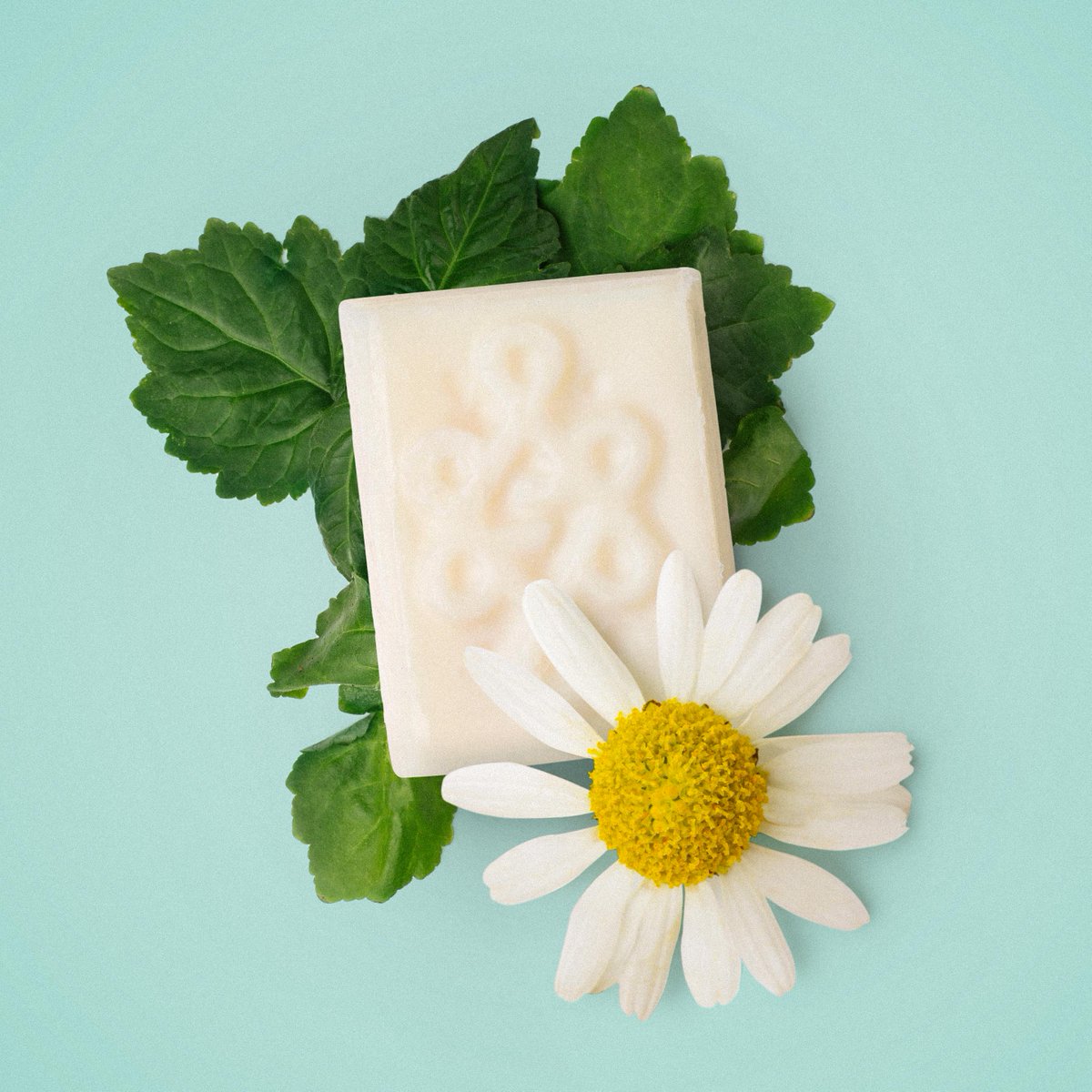 Quando in vacanza ogni centesimo in valigia è importante, Aromaco può aiutarvi. Questo deodorante solido con bicarbonato di sodio, amamelide e aceto di camomilla combatte efficacemente la sudorazione. Il patchouli aggiunge una piacevole fragranza.

lush.ch/products/aroma…