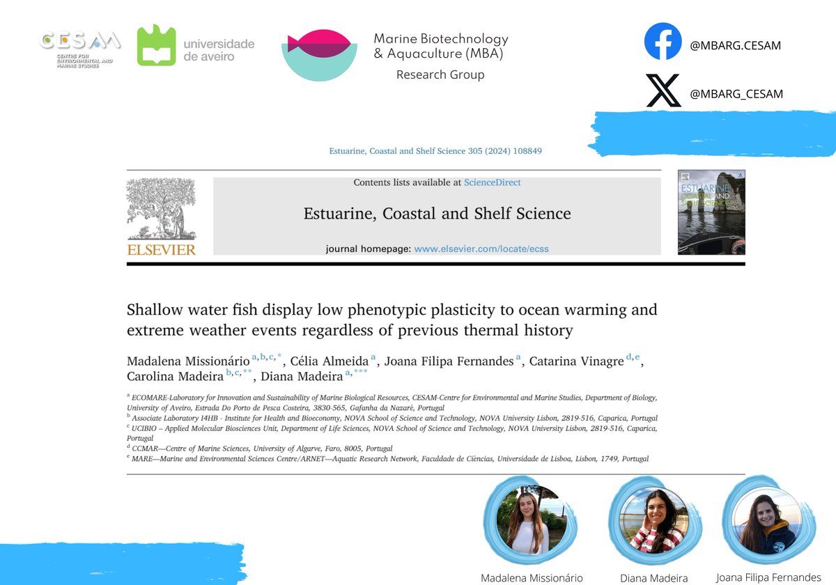 #mbargpaper
Our researchers 👩‍🔬👩‍🔬👩‍🔬 conducted a study on how global warming and marine heatwaves☀️🔥 will affect the physiological performance of the common goby, Pomatoschistus microps🐟.
Check it out: doi.org/10.1016/j.ecss…

@CESAM_Univ 
#cesam_uni