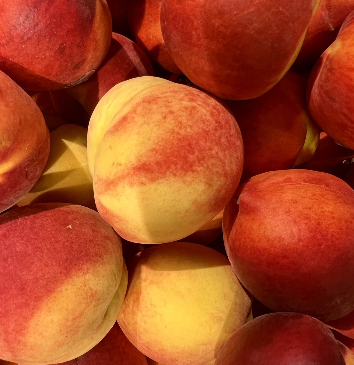MUDMASKY's tweet image. Do you like #peaches? Did you know peaches are GREAT for your #skin? #skincare #vitamins #mudmasky 
Read the blog and learn more:
mudmasky.com/the-beauty-ben…