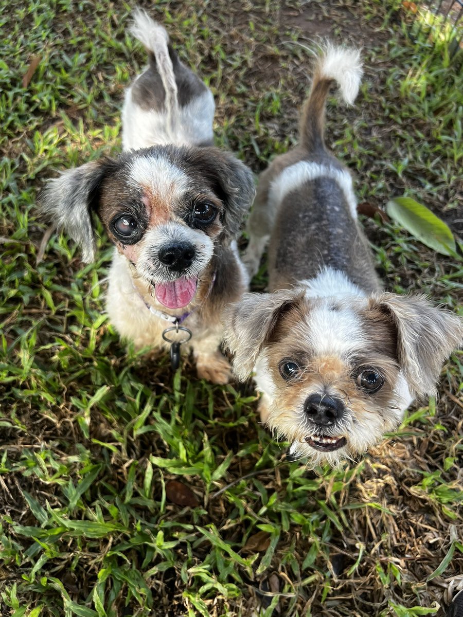 Niall Harbison tweet media