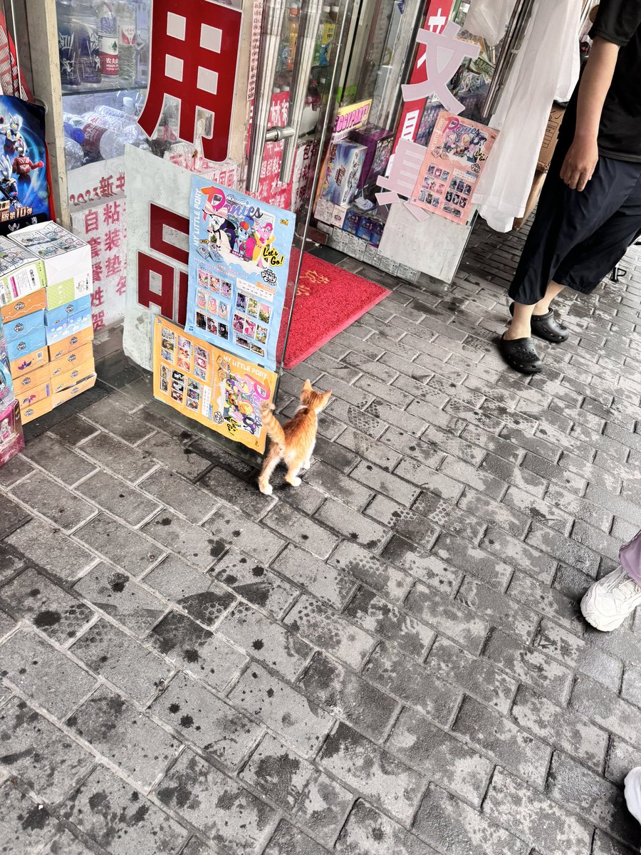 티미긩 tweet media