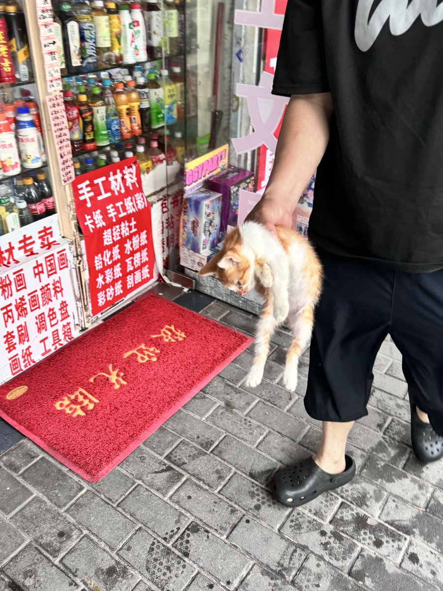 티미긩 tweet media