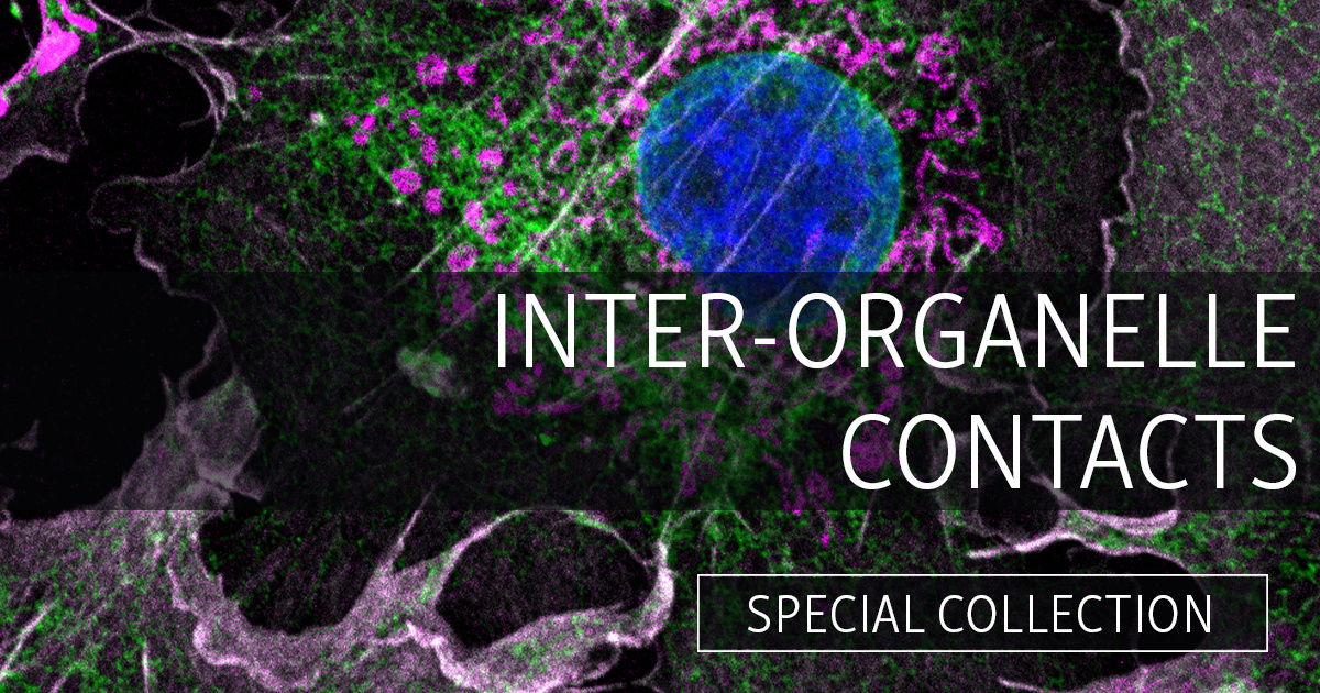 We're pleased to present a special collection examining the diverse mechanisms by which #mitochondria &amp; other #organelles physically interact, &amp; the roles these serve for cellular homeostasis. Explore our first Special Collection on this exciting topic ➡️ hubs.la/Q02D40D-0