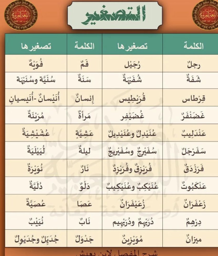 #لغتنا_الجميلة

🕊🌿🤍💌