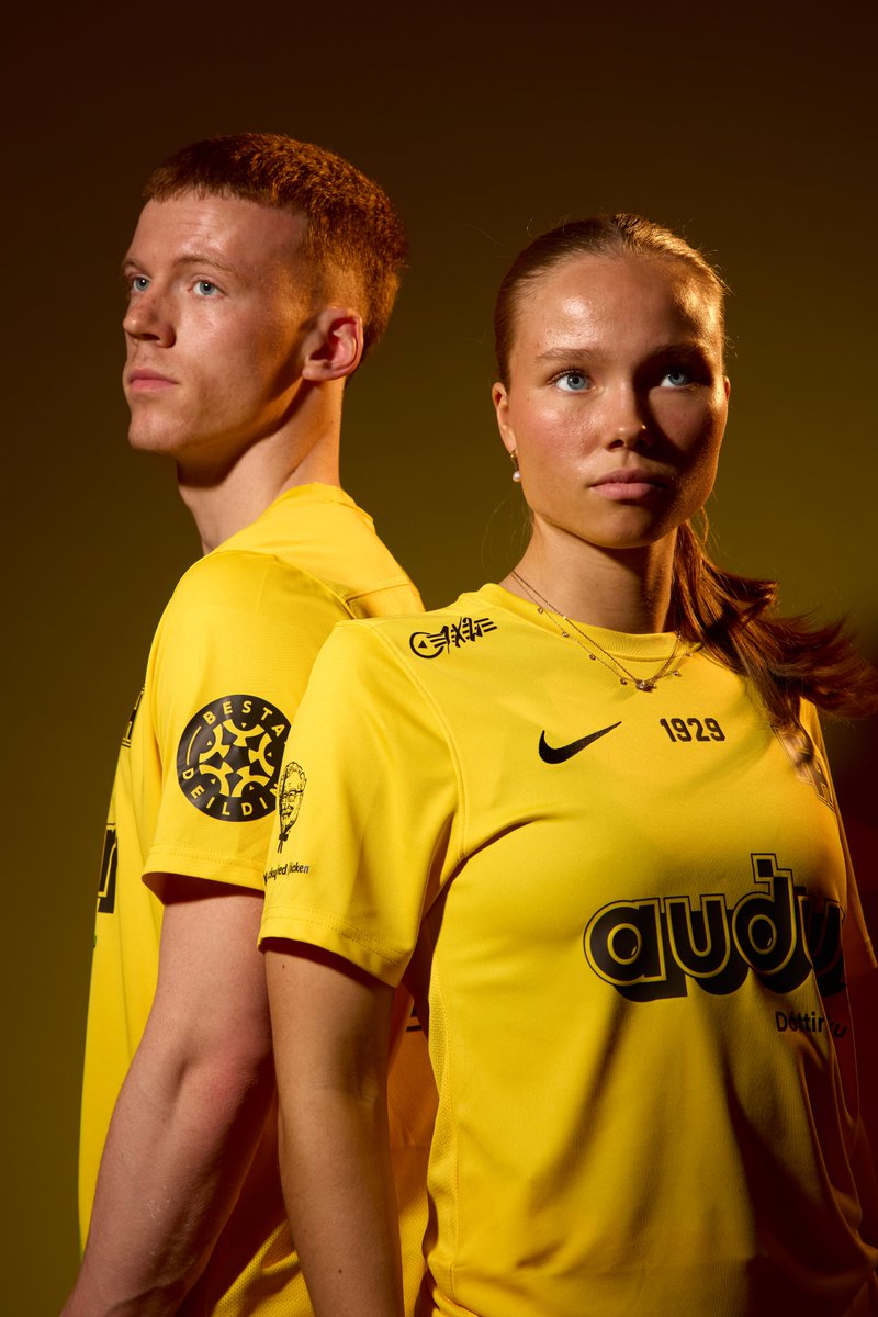 Fimleikafélag Hafnarfjarðar tweet media