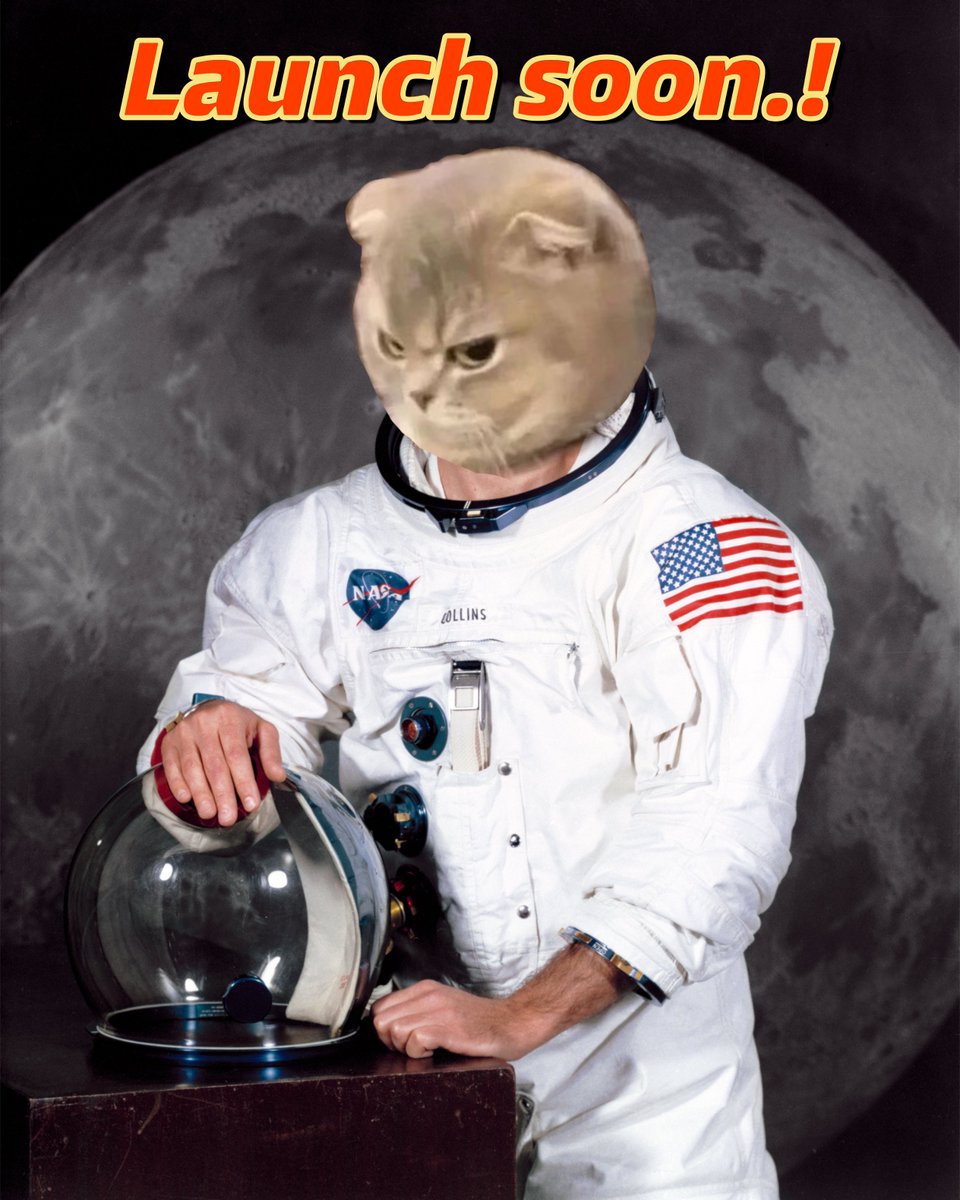 Ragi_solana's tweet photo. 🚀 Exciting News! 🚀

We are thrilled to announce that we are launching on Moonshot tomorrow! 🌙✨

The CA announcement will first be made on Telegram, so make sure you’re following us there for the latest updates!😼

- https://t.co/7ENQzNQIko

Stay tuned and get ready to embark on this incredible journey with us. The future looks bright for $RAGI, and we can’t wait to share it with you!⚡️