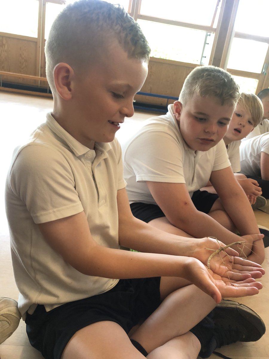 StMary_ofAngels's tweet image. A huge thank you to Lyndsay from @AnimalsTakeOver for our wonderful Rainforest workshop this afternoon. We learnt so much and had some very brave children🕷️🐍🦂🦎