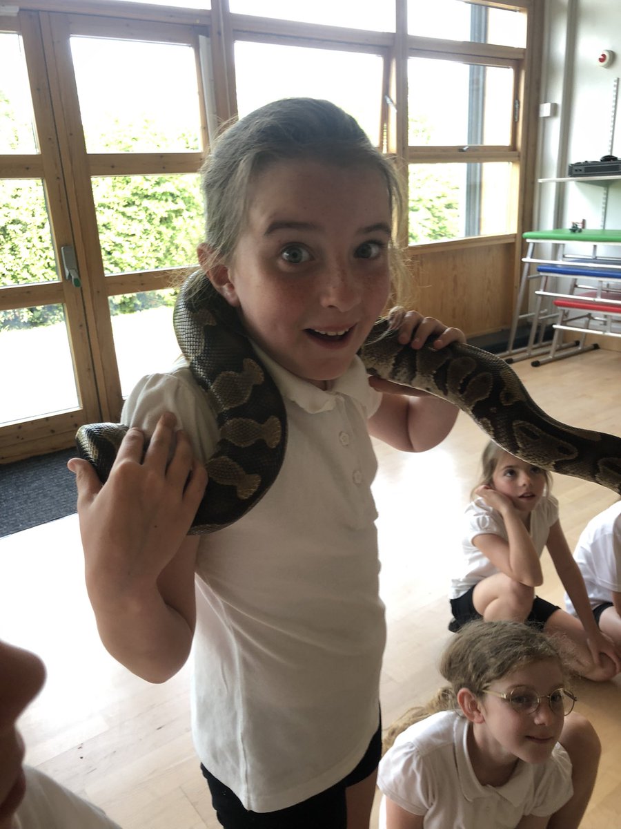 StMary_ofAngels's tweet image. A huge thank you to Lyndsay from @AnimalsTakeOver for our wonderful Rainforest workshop this afternoon. We learnt so much and had some very brave children🕷️🐍🦂🦎