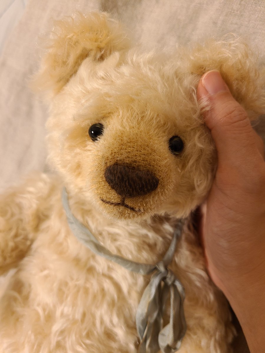 加藤文目さん <a href="/ayameya_doll/">ayame</a> の大きいベアちゃん…最終日滑り込み(？)でお迎えしました!!!とても可愛い色合いの白い毛並みに、のほほんとした幸せそうなお顔立ち💕まさにこれぞ憧れの大きさ&amp;抱き心地!!!