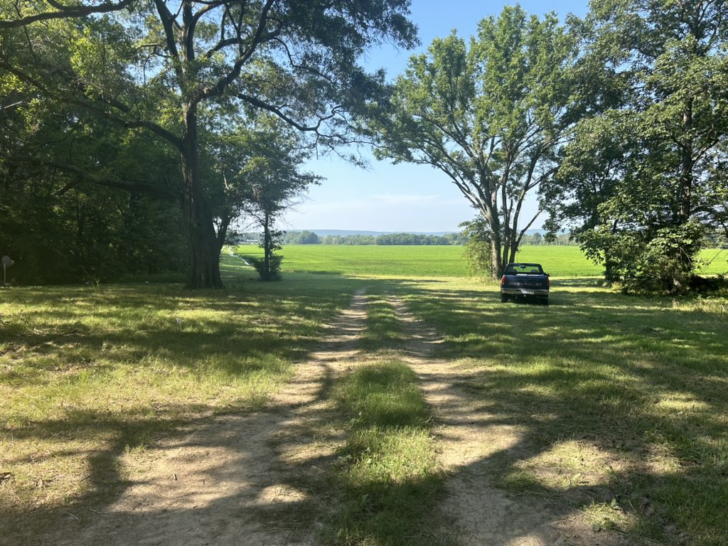 I don't know if you could ask for a more excellent field day location when it is this hot—plenty of shade and a view of Ozarks. <a href="/AgWriterArk/">🧨 Ferndale Int’l Observatory</a>, the last rice tailgate tour is currently planned. This will be an insect and disease talk with a sack lunch from the local butcher.