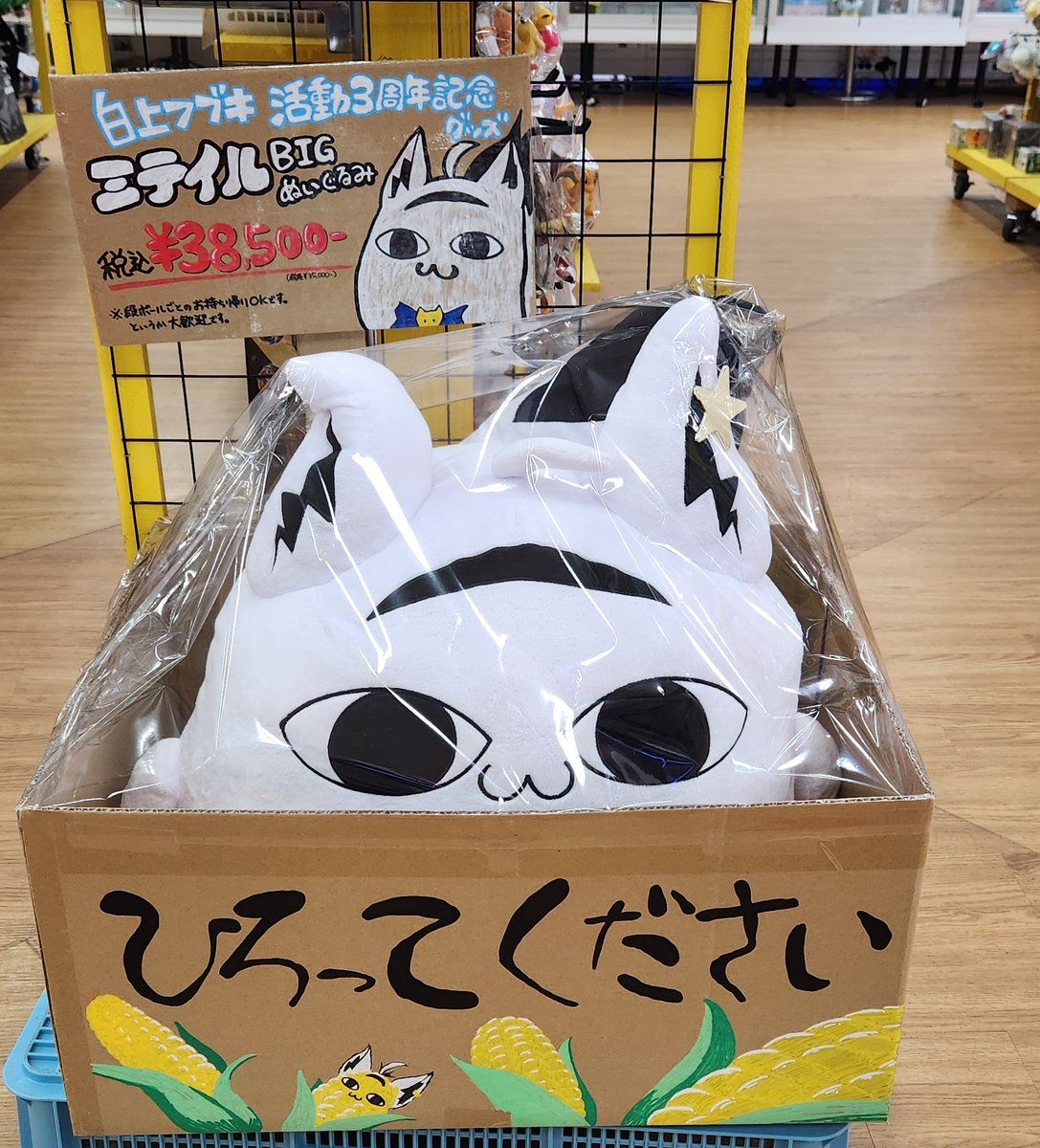 白上フブキ 活動三周年記念 ミテイルBIGぬいぐるみ 万代長野あいどる