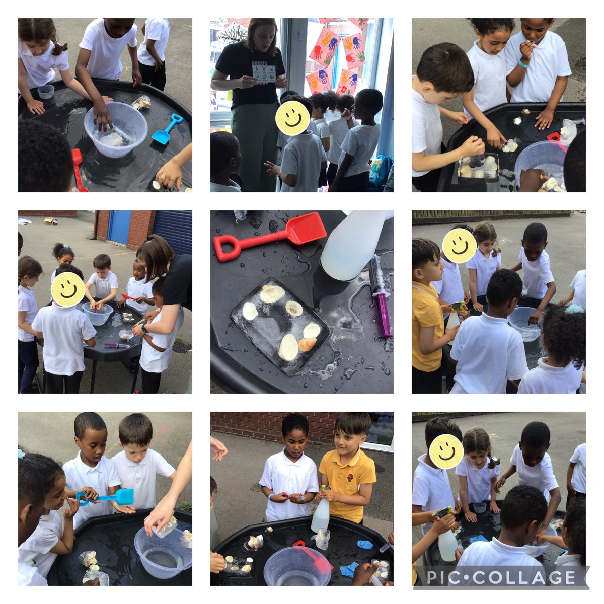 Catherine Moseley (@catheri75721444) on Twitter photo Today our Rising star and Wiggly Caterpillar hub have shown curiosity and courage while exploring how to get shells out of ice. #curiosity #courage #valuesday <a href="/VicParkAcademy/">Victoria Park Academy</a> Today our Rising star and Wiggly Caterpillar hub have shown curiosity and courage while exploring how to get shells out of ice. #curiosity #courage #valuesday <a href="/VicParkAcademy/">Victoria Park Academy</a>