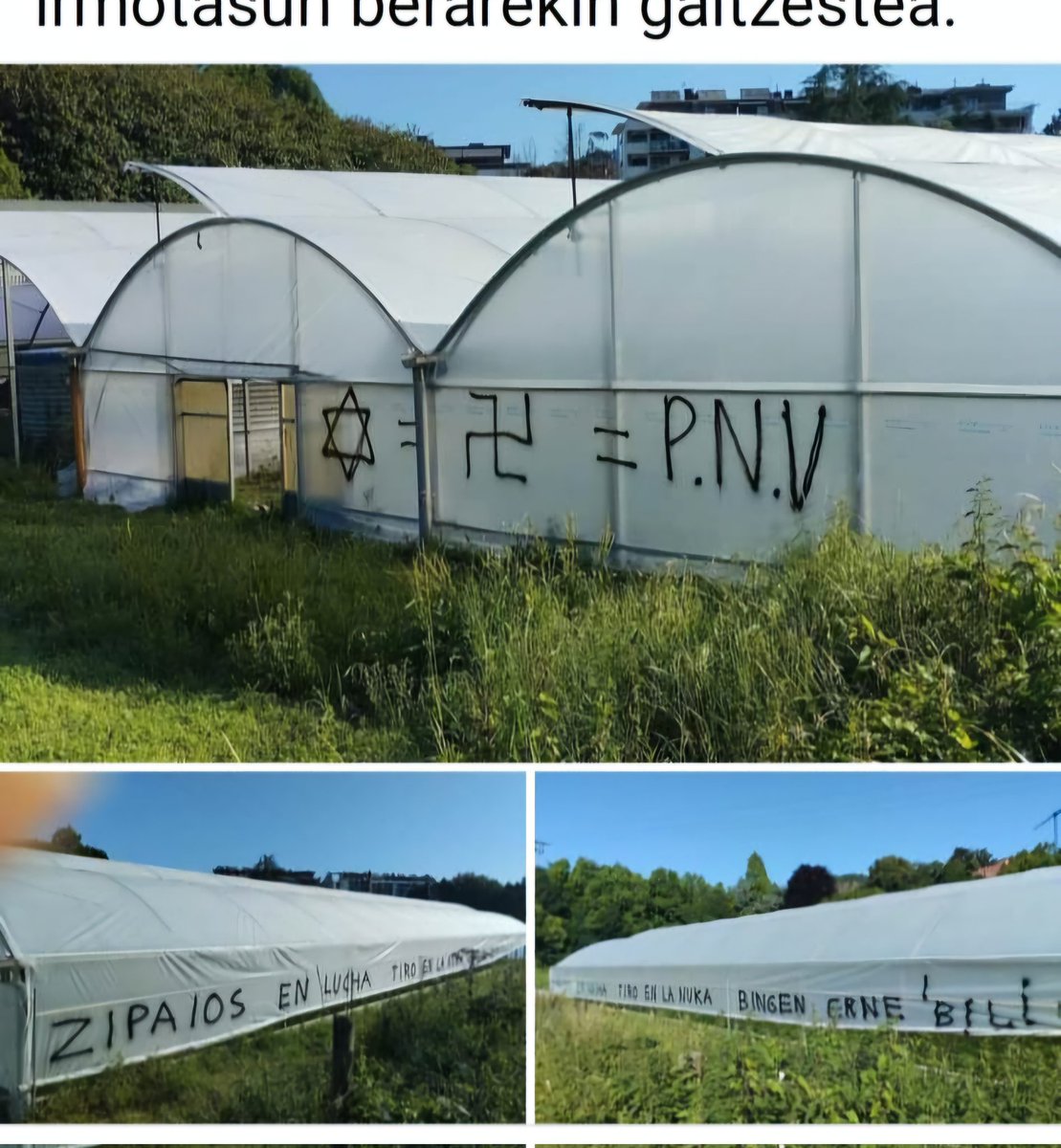 Mutiko30's tweet image. Manda cojones que los que tienen un Sionista como diputado tengan las narices de insultarte