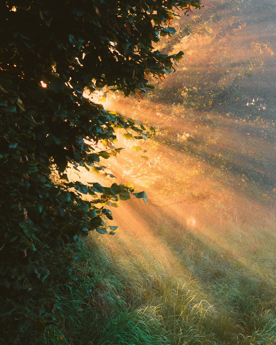 raoulfilm's tweet photo. A glimpse of Summer on 35mm film https://t.co/kGbVJernJt