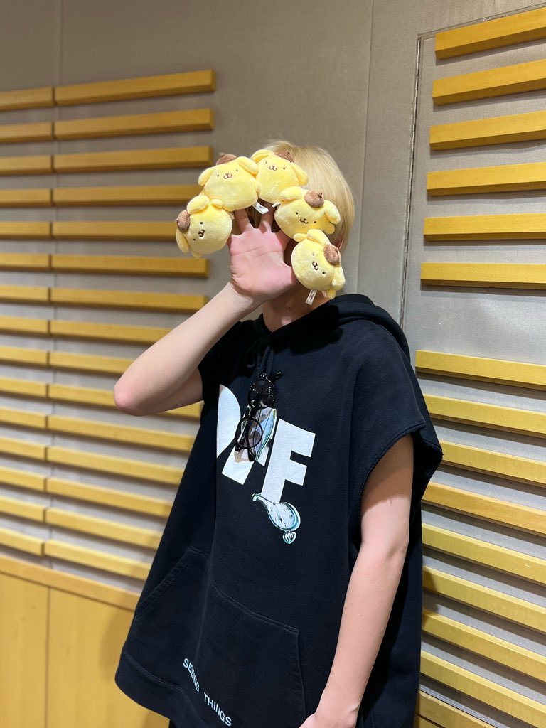 ポムポムプリン…？？