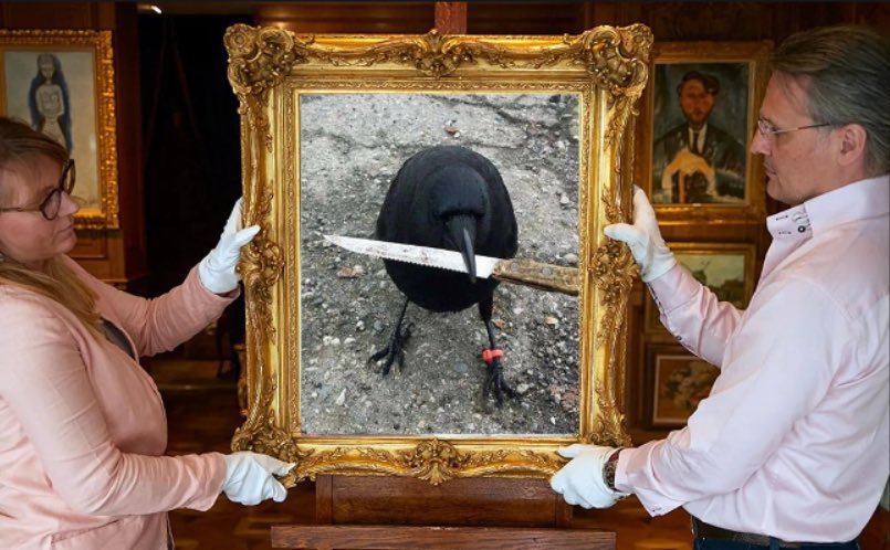 Hoppity_Woof's tweet photo. @gate_io crow with knife https://t.co/nuev1VPh0P