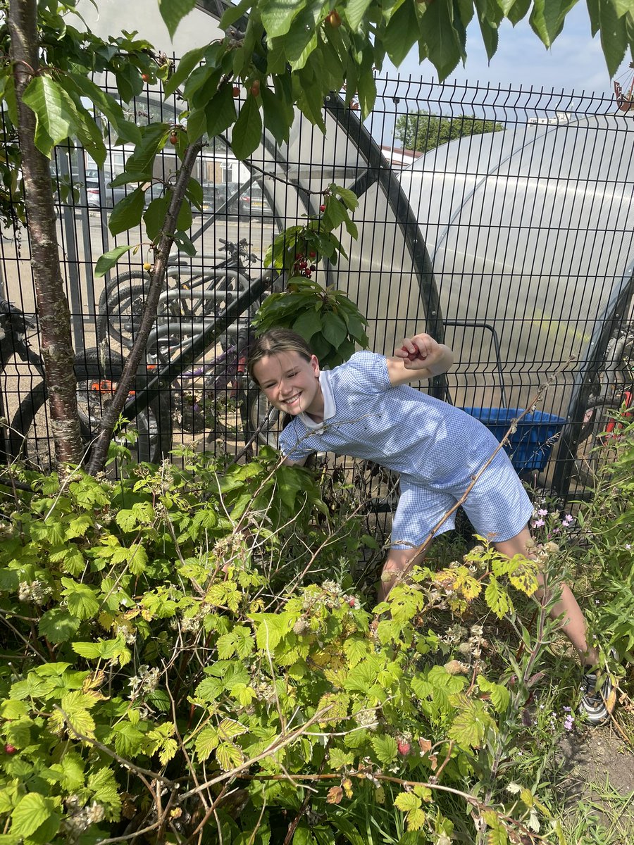 DeePointOak tweet media