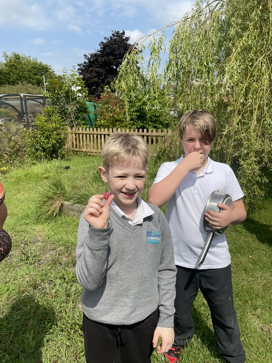 DeePointOak tweet media