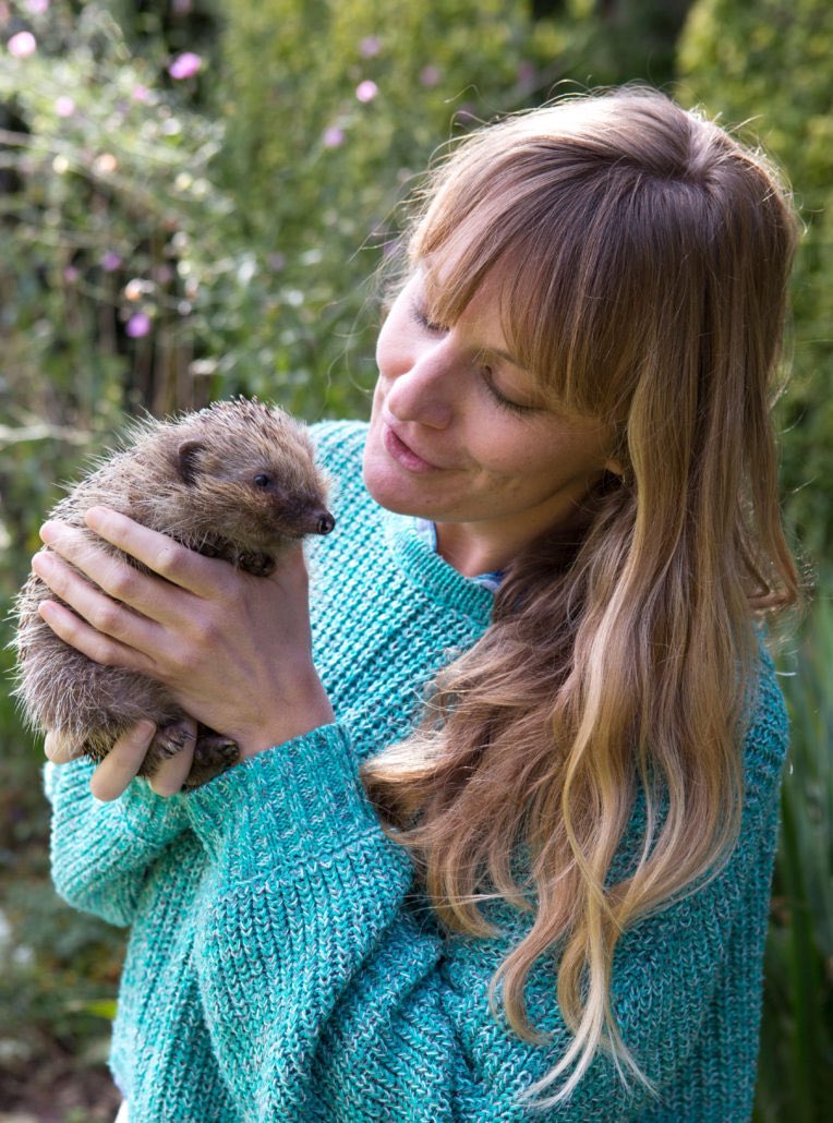 Joff Elphick tweet media