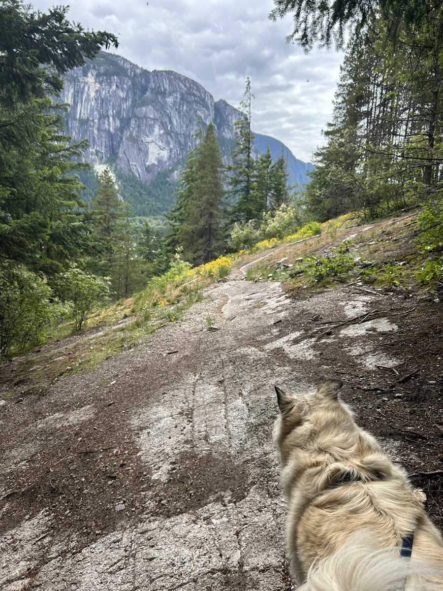 Mia Gordon TWN tweet media