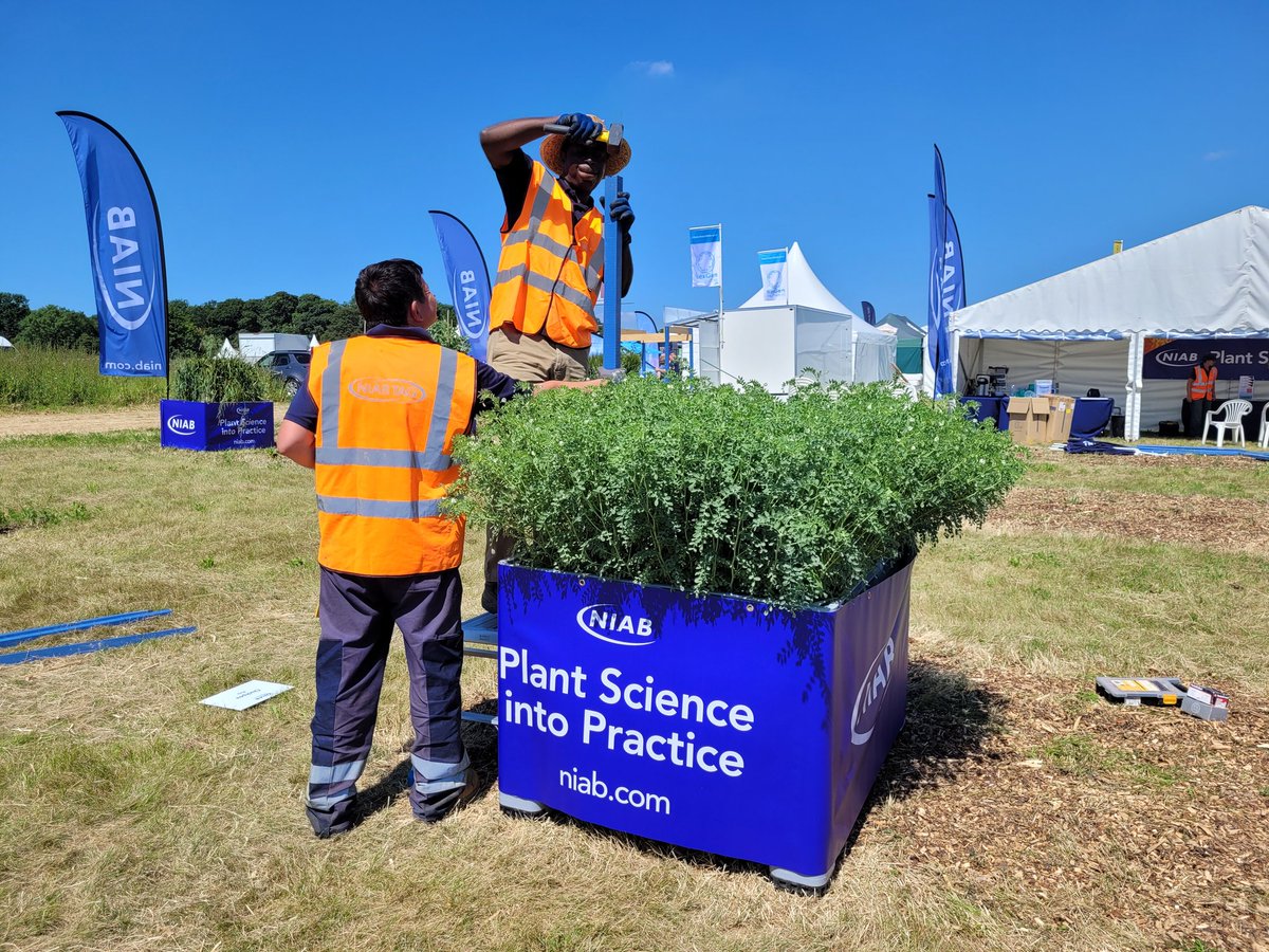 Niab (@niabgroup) on Twitter photo We're setting up today <a href="/Groundswellaguk/">Groundswell</a>. Come say hello on stand F33 and discuss the science behind regenerative agriculture... We're setting up today <a href="/Groundswellaguk/">Groundswell</a>. Come say hello on stand F33 and discuss the science behind regenerative agriculture...
